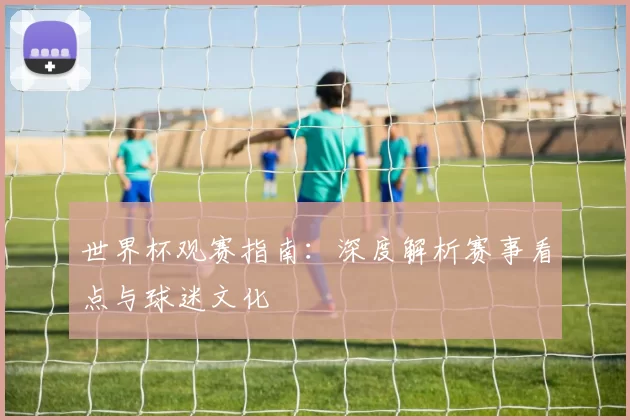 世界杯观赛指南：深度解析赛事看点与球迷文化