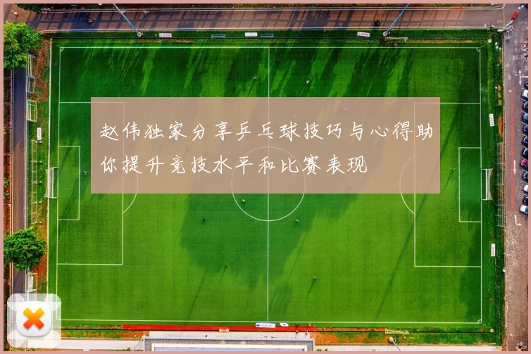 赵伟独家分享乒乓球技巧与心得助你提升竞技水平和比赛表现