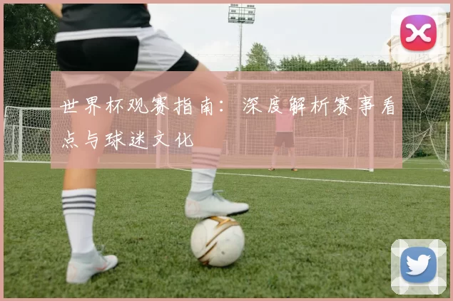 世界杯观赛指南：深度解析赛事看点与球迷文化