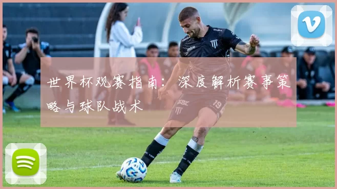 世界杯观赛指南：深度解析赛事策略与球队战术
