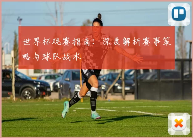 世界杯观赛指南：深度解析赛事策略与球队战术