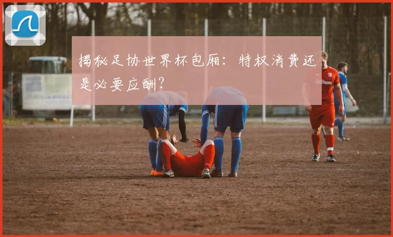 揭秘足协世界杯包厢:特权消费还是必要应酬?
