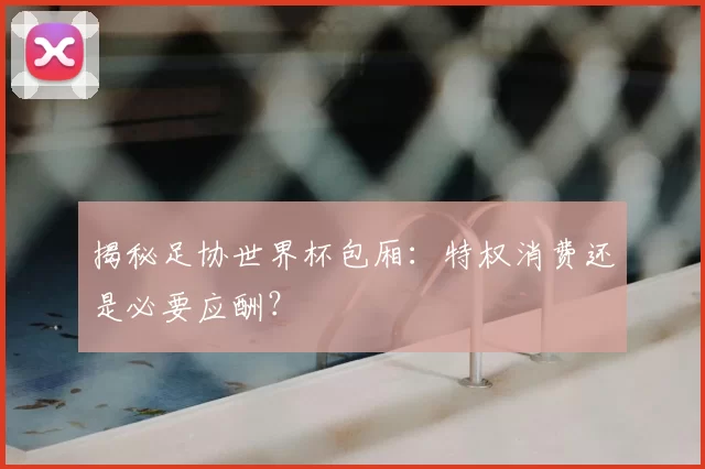 揭秘足协世界杯包厢：特权消费还是必要应酬？