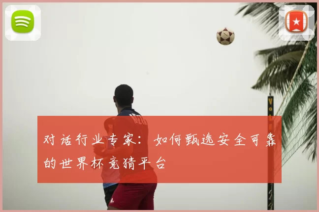 对话行业专家:如何甄选安全可靠的世界杯竞猜平台