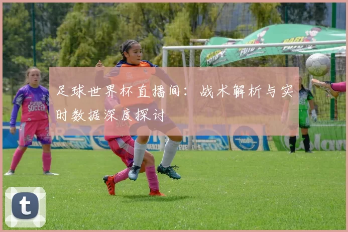 足球世界杯直播间：战术解析与实时数据深度探讨
