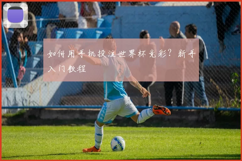 如何用手机投注世界杯竞彩?新手入门教程